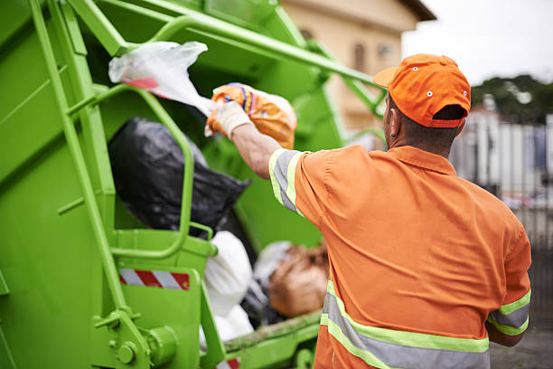 Best Shed Removal  in Lakeview, OH